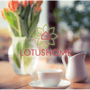 LOTUSLIFE Berlin